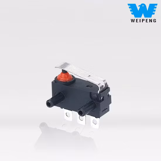 250 V 0,1 A