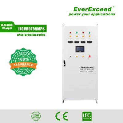 Caricabatterie per autoveicoli Everexceed da 400 V approvato RoHS Caricabatterie industriale
